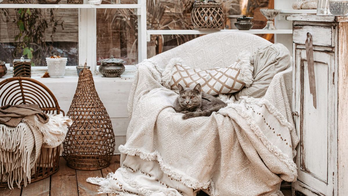 She Sheds: The Ultimate Guide
