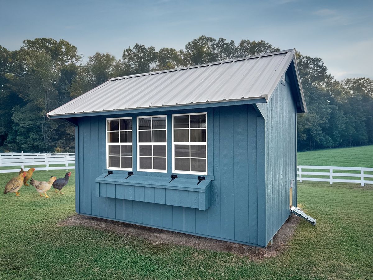 How to choose 6 Benefits Of Backyard Chickens