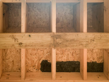 Nesting boxes in a chicken coop for sale in Kentucky