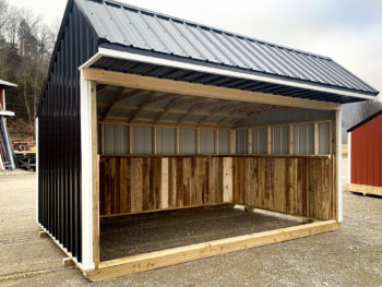 A black horse run in shed sold in Kentucky