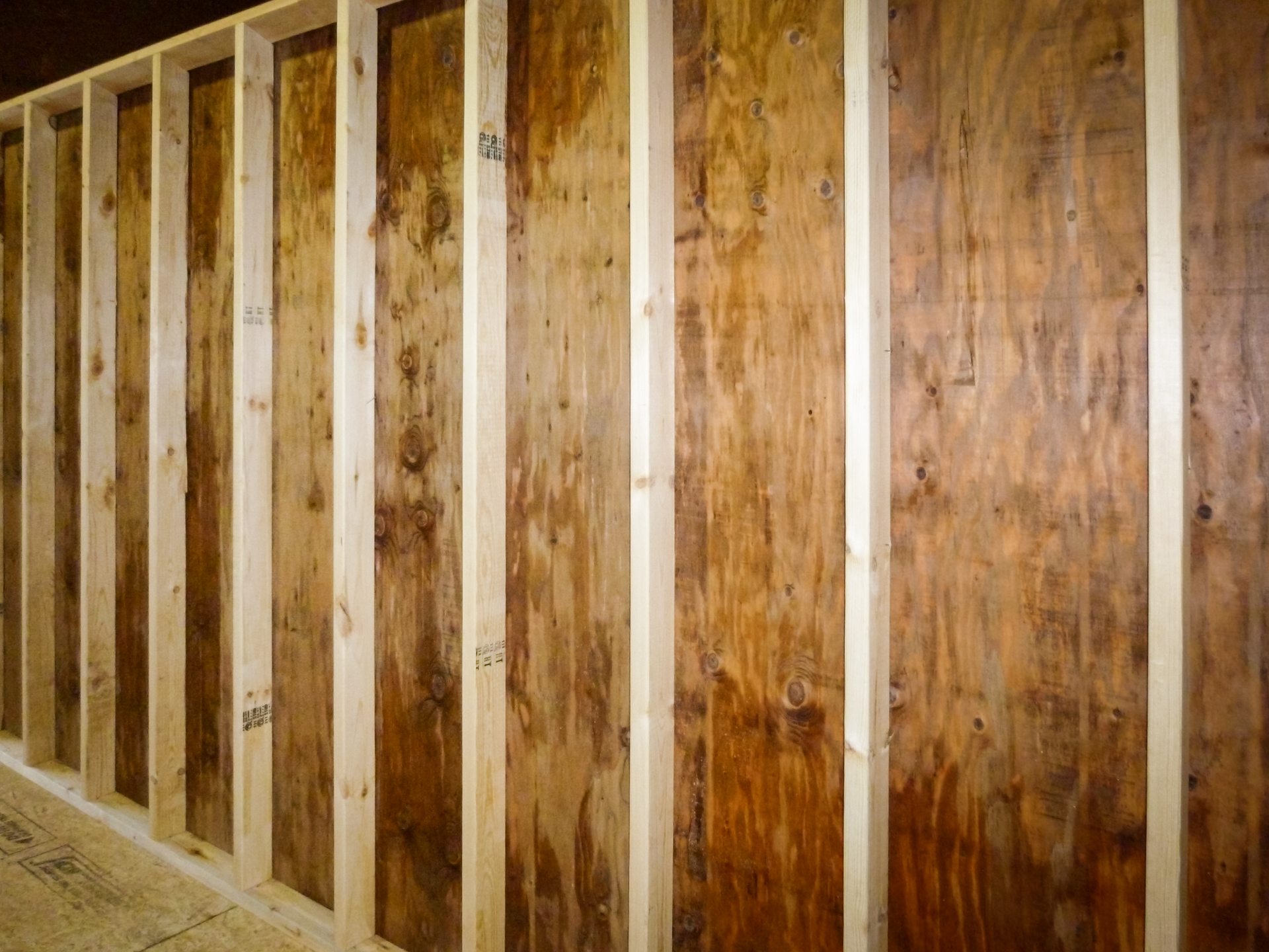 Standard wall studs on a pre-built shed in Kentucky