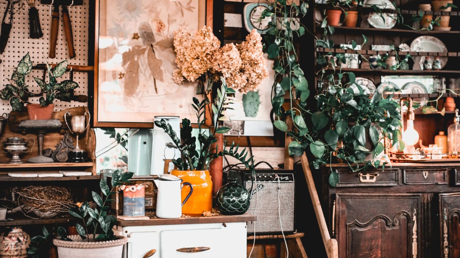 interior of a she shed