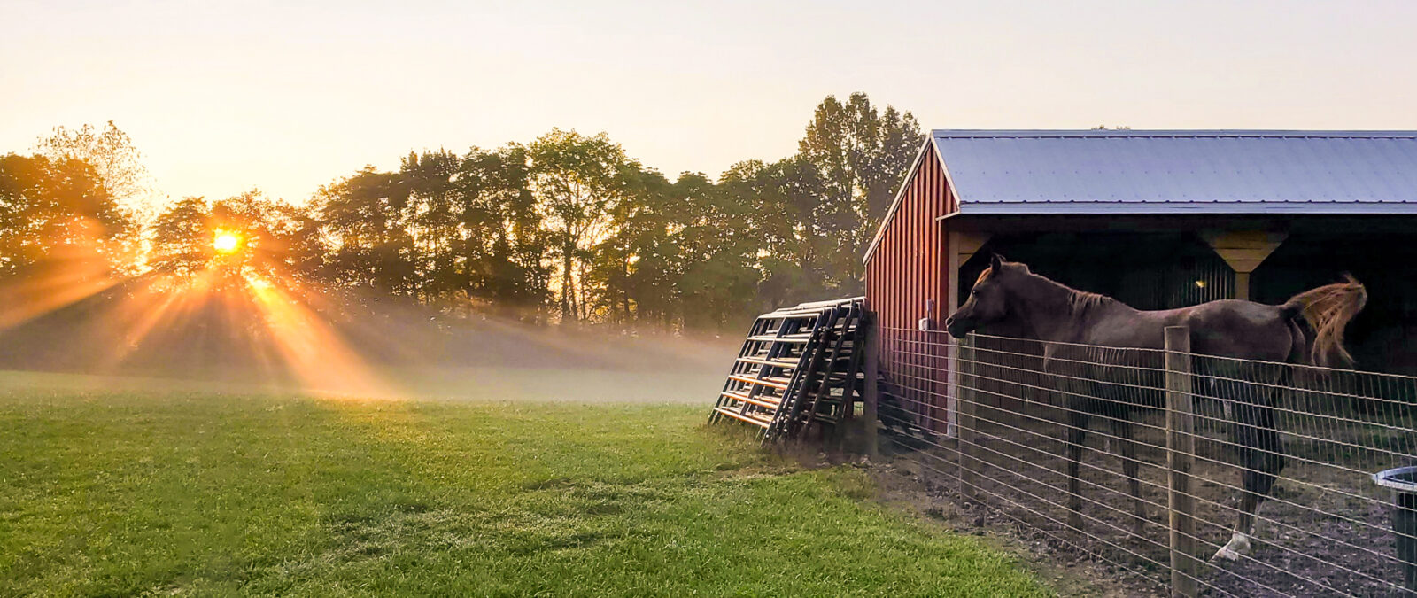 animal sheds in KY and TN